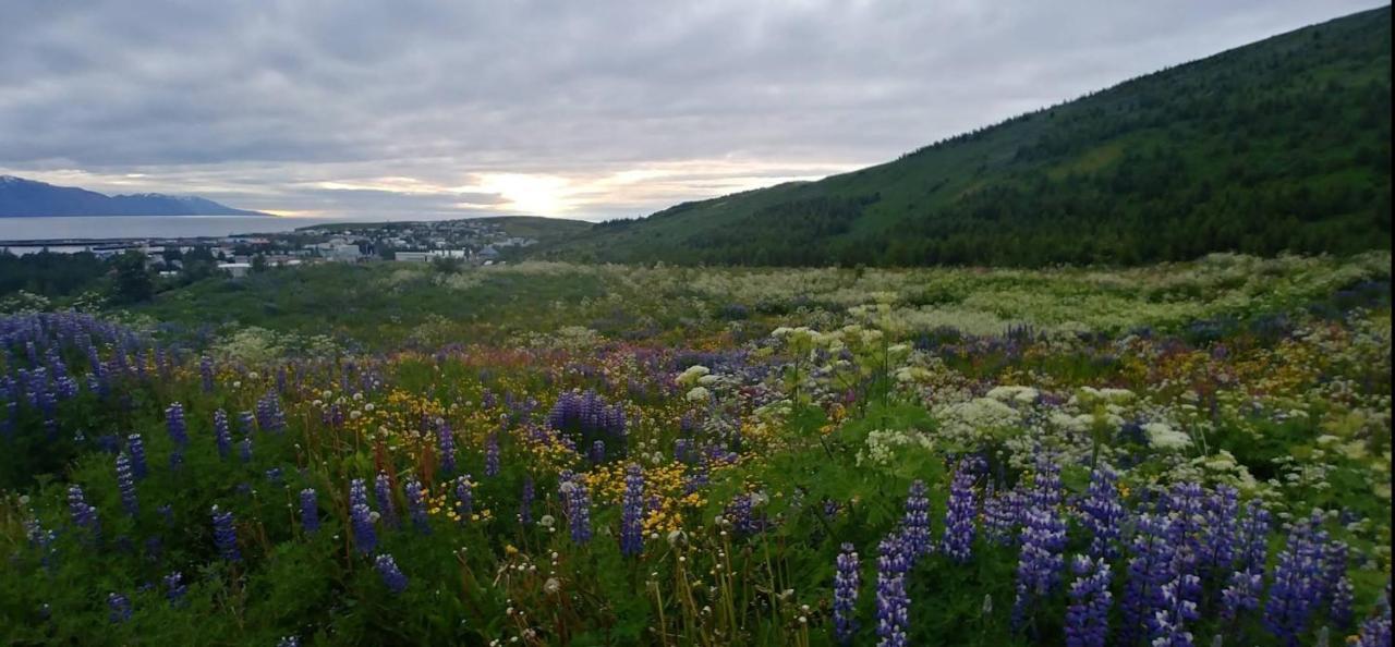 B&B Rooms Husavik 3 エクステリア 写真